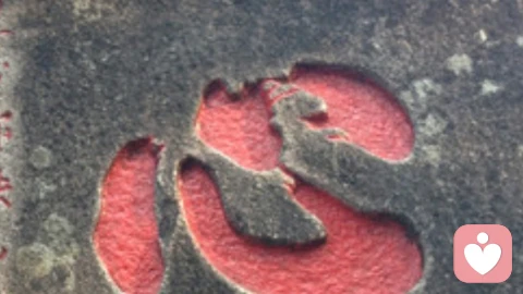 如何陪伴抑郁症患者
