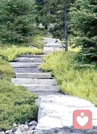 一时办不到的事，要允许逐步去办