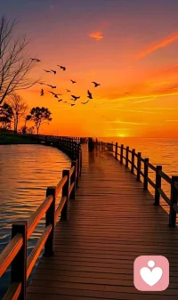 相識容易
因為五官一目了然
相處不易
因為三觀深藏不露配圖