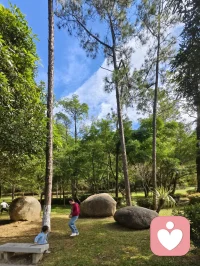 婚姻的選擇，會(huì)在很大程度上改變你的命運(yùn)。一個(gè)好的伴侶，會(huì)減輕你一半的人間疾苦，它會(huì)滋養(yǎng)你的靈魂，讓你時(shí)刻感受到溫暖和力量。哪怕你和他在一起虛度光陰，他的磁場(chǎng)都會(huì)讓你感受到踏實(shí)舒服。而一個(gè)糟糕的伴侶，會(huì)熄滅你世界里所有的光，它會(huì)耗盡你對(duì)生命所有的熱情，熄滅你對(duì)婚姻的所有向往，哪怕你和他分享喜悅，他都會(huì)讓你黯然神傷地離開。所以，婚姻的選擇，財(cái)富和相貌并非首選，而是你要看到他的生命里和你相似的光，比如三觀，比如教養(yǎng)，比如你們精神世界的同頻共振。配圖