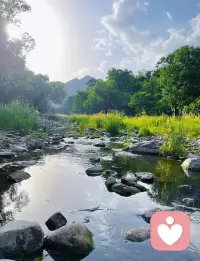 躲天意，避因果，諸般枷鎖困真我；順天意，承因果，今日方知我是我；一朝悟道見真我，何懼昔日舊枷鎖，世間枷鎖本是夢，無形無相亦無我。配圖