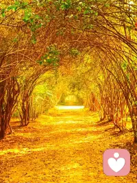 沒有什么是神圣的，因為神都是人造的。配圖