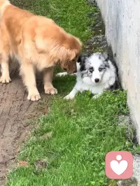 得不到的永远在骚动，被偏爱的都有恃无恐配图