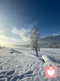 永远和自己站在一起去解决问题，而不是和问题一起来打败自己。配图