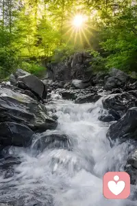 从原理出发，方法就会源源不断配图