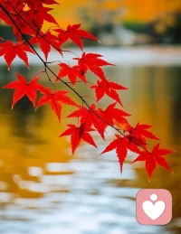 能解决的事，你急什么？

不能解决的事，你急什么？

好好睡觉💤配图