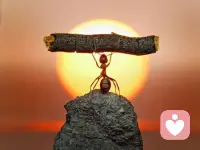 当你决定去做的时候，最难的那部分已经结束了配图