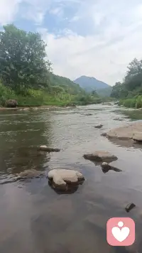 时间不是解药，但解药在时间里配图