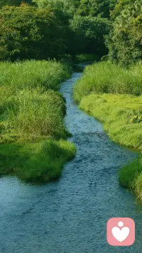 现实社会里，位置比能力还重要配图