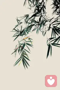 恃人不如自恃，求人不如求己配图