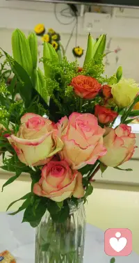 凡事都有两面性，取舍是门艺术配图