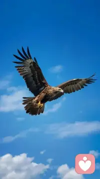 管不了自己的人，最爱管别人