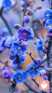 没有正反馈的事，又能坚持多久呢？