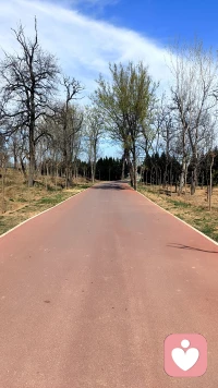 你最爱的那个人，教会了你什么？