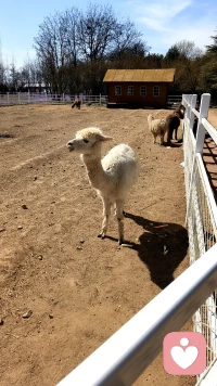 拥抱痛苦，你将不再痛苦。