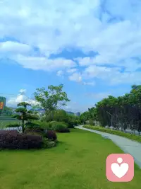 任何人的开导，都不如自己经历后的大彻大悟