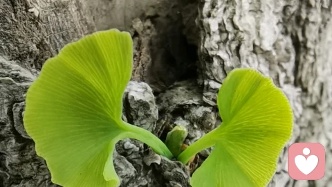 没有人天生自卑,是有人教会了你讨厌自己