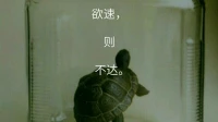 我们很长时间形成的心理困惑，不能只靠一两次咨询就完全处理好，凡事需要时间，过程，自我内心态度的转变和行动。
你想要快点看到效果，往往会适得其反，其实慢慢来，效果反倒明显一些。
切记不要随意给自己贴标签，这不好，那不好，哪里都不好了，先让自己心向着阳光，突破一点点，你就能感受到新鲜视角配图