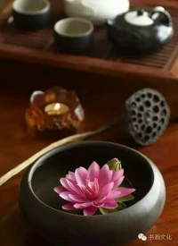 【轉】【秋心心語】:			腳下的路，沒人替自己決定方向，心中的夢，沒人替自己去完成，風吹雨打懂生活，苦盡甘來悟人生！人生何嘗不是一種感受，一種歷練，一次懂得？做好自己人生的主人，因為沒有等來的輝煌，只有拼來的精彩！配圖