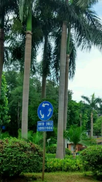 動輒就有人會問失眠問題，那問題出在哪里？失眠就是你的心里精神運動遠遠大于你的生理軀體運動導致的身體的平衡性破壞。那么怎么調節？數學模型法?就是減少平衡式左邊的運動量，增加平衡式右邊的運動量。這樣就你就會自我調節平衡關系了。配圖
