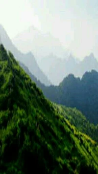 這里是身心疲憊者的家園，這里是心靈寧靜的港灣，有心事可以找我傾訴，也許能給你不一樣的感悟喔配圖