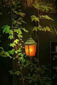 不要因為生活中存在一些陰暗而卻步，燈盞就在前面，你只需上前點亮它。配圖