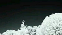 一個人不肯擔當，推掉的不僅僅是責任，同時還推掉了信任和機會，斷送的是自己的將來！配圖