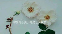 年少時，我們都喜歡漂亮外表的人，慢慢成熟后，更喜歡有豐富靈魂的人，內(nèi)里的睿智，讓人更愿意接近。
暖心和你，一直在一起。配圖