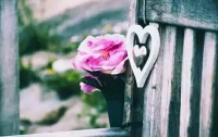 【轉】【秋心心語】:		心從哪里走過，花朵就在哪里綻放。快樂的秘密在于：珍惜你此刻所擁有的，遺忘你所沒有的。心若看開，風輕云淡，輕松自在；心若執拗，苦的不僅是當下，還有未來。人生最大的障礙，不是困難，而是自己的內心。	以平常心對待生活，	放下過去，才能成全現在；只有放下牽絆，才能。配圖