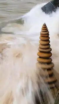 有趣才有詩意，眼界就是遠方。唯有如此，我們的生活才可以不再茍且下去。配圖