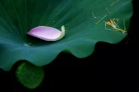 有醒悟，是生命真正的開(kāi)始。
有愛(ài)時(shí)，是關(guān)系真正的開(kāi)始。配圖
