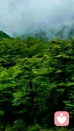 心外是沒有幸福可尋的，因此心田里種福還是種禍，全在于你自己。配圖