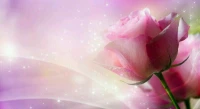 【轉(zhuǎn)】與其觀望他人，不如珍視自己。人生不同路，幸福千萬(wàn)種，無(wú)需觀望他人，自己亦是風(fēng)景。配圖