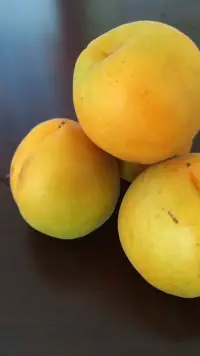 在我的案例中有一個抑郁癥患者，用心學習考心理咨詢師，不僅對其抑郁癥產生了極大幫助還取得了考證的成功；另一個案例就是曾經取得心理咨詢師證的人，卻是一個人格有障礙的人，此人將會傷害一定群體心理咨詢師的名譽也會傷害某一類的來訪者。配圖