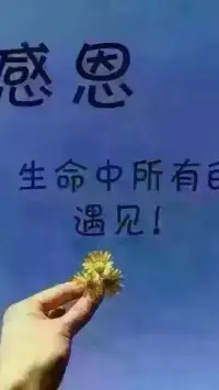 【轉(zhuǎn)】把自己寶貴的時(shí)間和精力留給自己關(guān)心的人，留給懂自己的人，別在不喜歡你的人那里丟了快樂。配圖