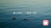 這是自我身份認(rèn)同的9道題，你能完整的回答嗎？如果回答得出來，恭喜你，你真正知道自己是誰了。
1.請你介紹一下你自己，你是個(gè)什么樣的人？

2.你有什么理想嗎？這個(gè)理想是怎么形成的？

3.你理想的伴侶關(guān)系是什么樣的？你自己在這個(gè)伴侶關(guān)系中扮演什么樣的角色？要承擔(dān)什么樣的責(zé)任？配圖