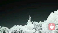 夢(mèng)想是生命的靈魂，是心靈的燈塔，是引導(dǎo)人走向成功的信仰。有了崇高的夢(mèng)想，只要矢志不渝地追求，夢(mèng)想就會(huì)成為現(xiàn)實(shí)，奮斗就會(huì)變成壯舉，生命就會(huì)創(chuàng)造奇跡。配圖