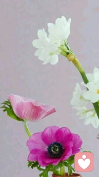 一個人，總是仰望和羨慕著別人的幸福，一回頭，卻發(fā)現(xiàn)自己正被仰望和羨慕著，其實(shí)每個人都是幸福的，只是你的幸福常常在別人的眼里。配圖