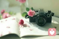 【轉(zhuǎn)】【秋心心語】:人生中經(jīng)歷的越多，懂得也就越多，不要為眼前的困境煩擾，當(dāng)你挺過每一個(gè)低谷，就會走向另一個(gè)新高！配圖