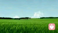 面對一塊石頭，你若把它背在背上，它就會成為一種負擔，你若把它墊在腳下，它就成為你進步的階梯！配圖
