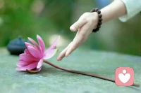 【轉】【秋心心語】:時間溜得太快，
總是經歷太快，領悟太晚。
我們要學會珍惜，
不要等到失去再追悔莫及。

珍惜人生路上的親情、友情、
同事情、同學情、朋友情，
一旦擦身而過，
也許永不邂逅。

要知道，
歲月匆匆，時間一去不復返，
很多情誼，一旦錯過就不再！配圖