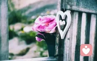 【轉】【秋心心語】:	很喜歡這首短詩:
一天很短，
24小時，稍縱即逝，
短到來不及擁抱第一抹陽光，
就要迎接落日的余暉。

一年很短，
365天，如白駒過隙，
短到來不及細細品味春天的生氣，
就要面對寒冬的風霜。

一生很短，
短短幾年，一睜一閉就過了。
短到來不及用心享受美好年華，
已皺紋滿面，有心無力。配圖