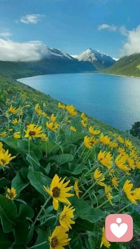 當(dāng)你接受和喜愛自己時(shí)，你的所有潛力，都被激發(fā)出來。如果你能感受到自己身上越多的力量，就能擁有越自由的生命！
										在這里希望我能夠陪著你一起，遇見最好的你自己。配圖