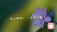 人生不過是一半風雨，一半晴天，四季輪回才是人生的常態。
愿你活得漂亮，愛得純良，愿你不爭不搶，卻有歲月打賞。
過你想要的生活，暖心和你，一直在一起。配圖