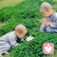 【轉(zhuǎn)】【秋心心語】:	人生如同坐火車，風景再美也會后退，流逝的時間和邂逅的人終會漸行漸遠。淡淡地欣賞旅途中的風光，淡淡地應對人生中的風風雨雨……淡淡地對待一切，一切自然就風輕云淡。早安！配圖