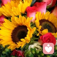 可以說得出來的痛都不謂是痛，但仍然要嘗試去傾訴宣泄釋放出來……配圖