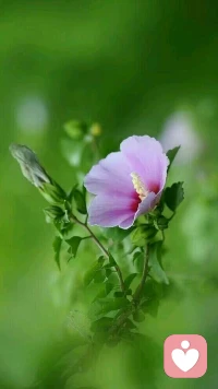 【轉】成功者的習慣-------1.微笑；2.背后說別人好話；3.聽到某人說別人壞話時只微笑；4.過去的事不全讓人知道；5.	尊敬不喜歡你的人；6.對事無情，對人有情；7.多做自我批評；8.為別人喝彩；9.感恩；10.學會聆聽；11.說話時常用“我們”開頭；12.少說話；13.喜歡自己。	???配圖