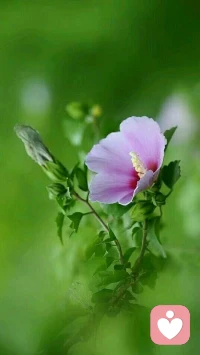 越牛逼的人越謙虛，
	
					
越沒本事的人越裝逼配圖