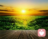 【轉(zhuǎn)】【秋心心語】:人世間有一種相遇，不是在路上，而是在心里。
人世間有一種陪伴，不是在身邊，而是在靈魂。
這世界，雖然美麗易碎，但不必慌亂，只要靜然于心，就會海闊天空。節(jié)日快樂！配圖