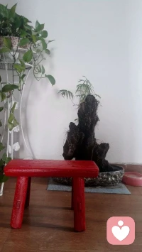 心理咨詢，不是上政治課；心理咨詢，不是告訴正確答案；心理咨詢，不是勸慰道德取向。如果相反，真是服了這個世界的心理咨詢！配圖